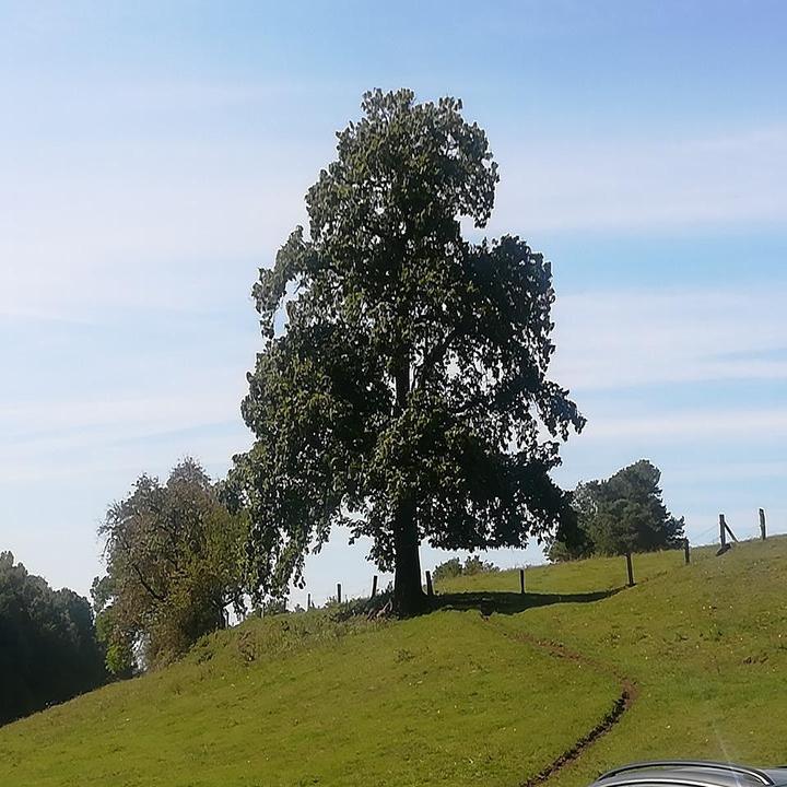 Bio-Gasthof Bärenbrunnerhof