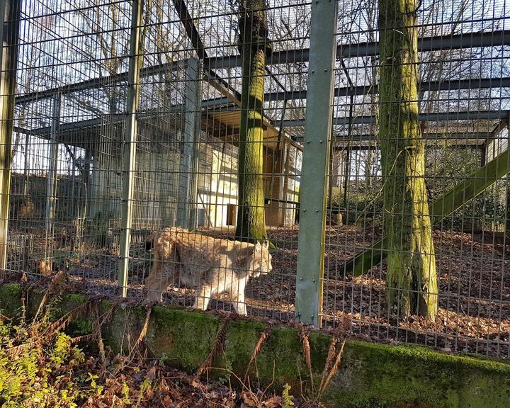 Tierpark Fauna